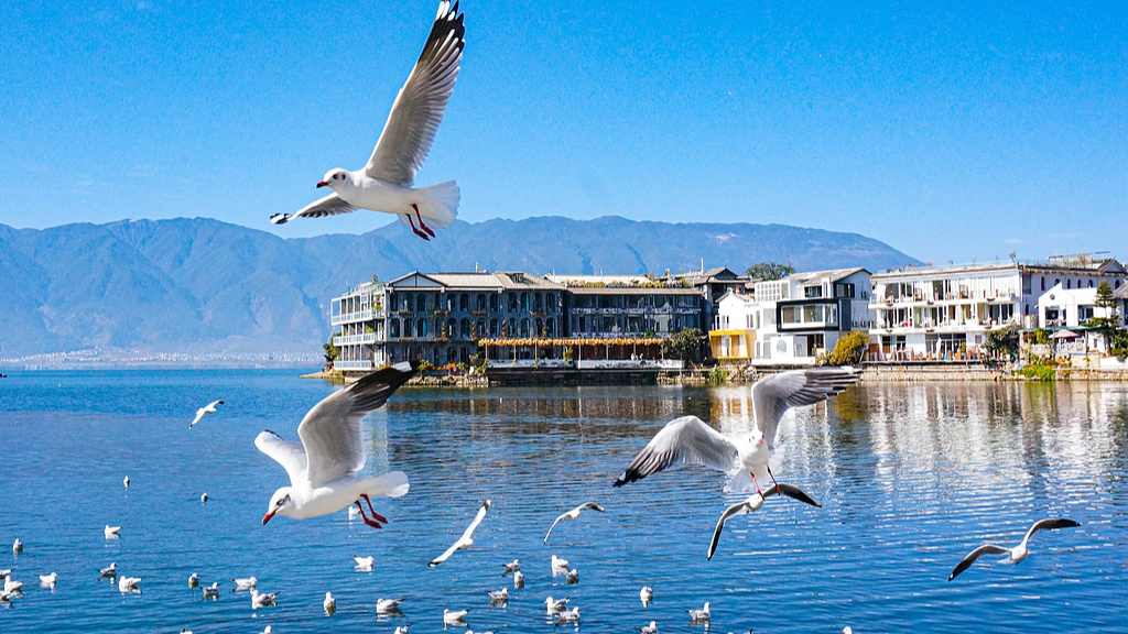 云南：到今年年底 云南旅居人数将达380万人 - 游走吧旅游科普资讯网