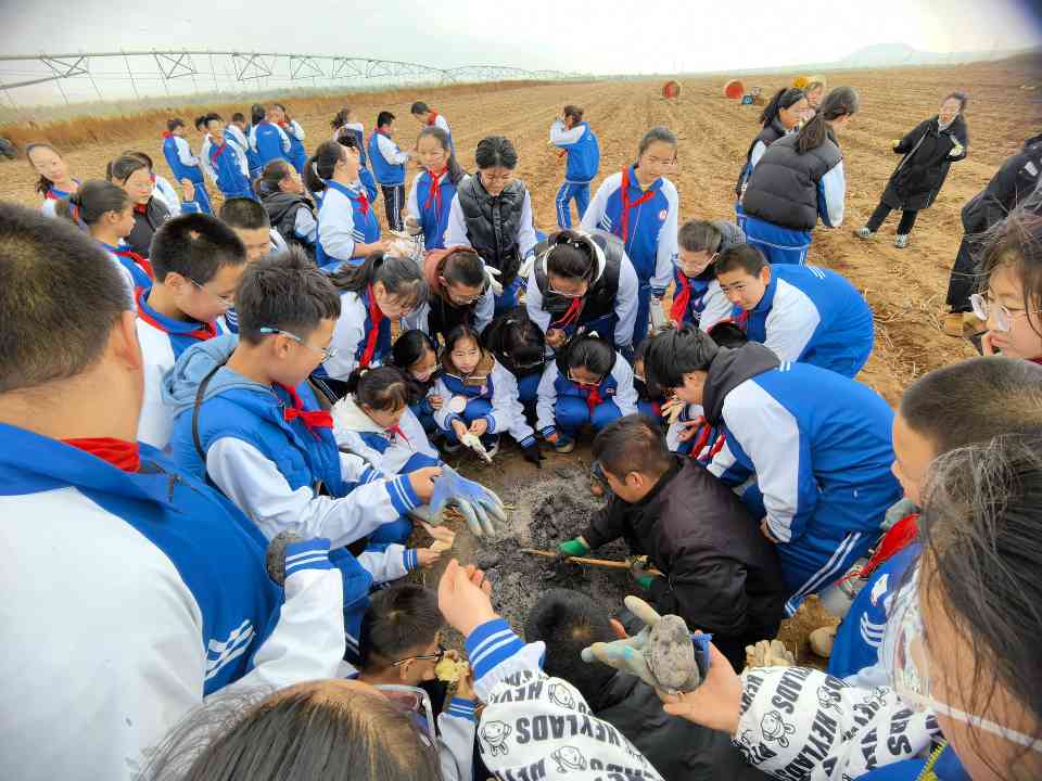 内蒙古金秋“宿”出新活力(图1)