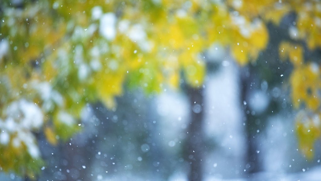 文化中国行・诗意节令｜小雪：晚来天欲雪，能饮一杯无？ - 游走吧旅游科普资讯网