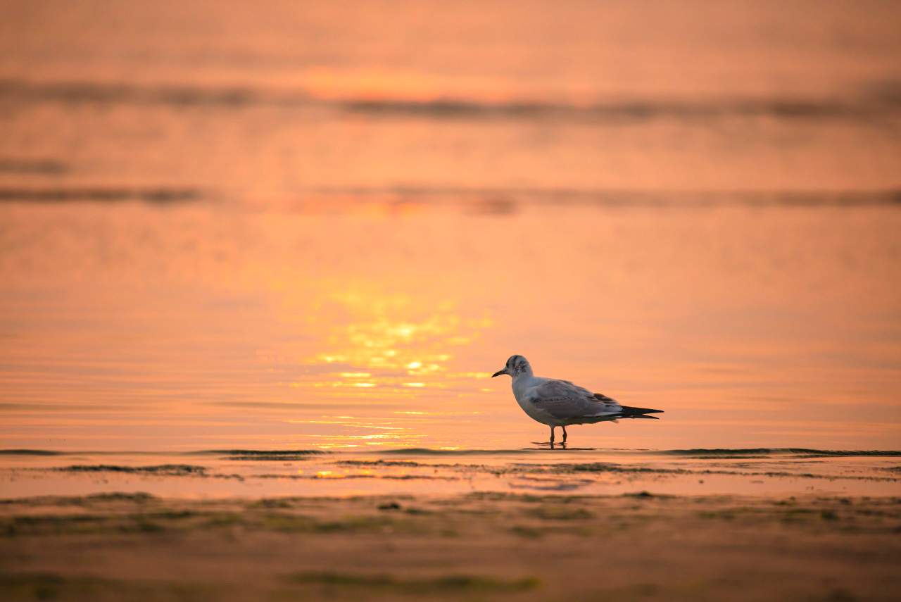 海风中的全福楼 - 游走吧旅游科普资讯网