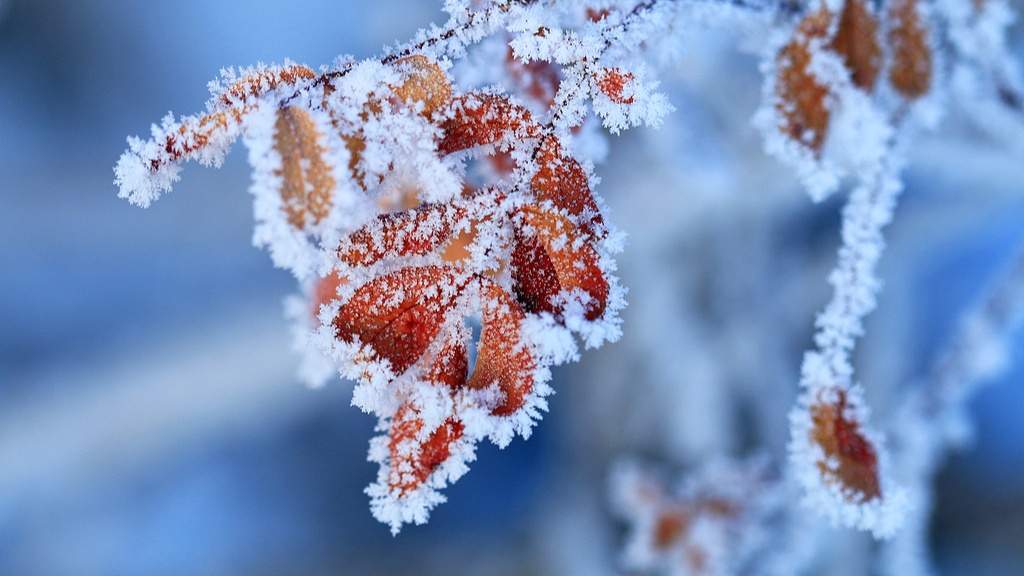 光明文化周末：立冬 - 游走吧旅游科普资讯网