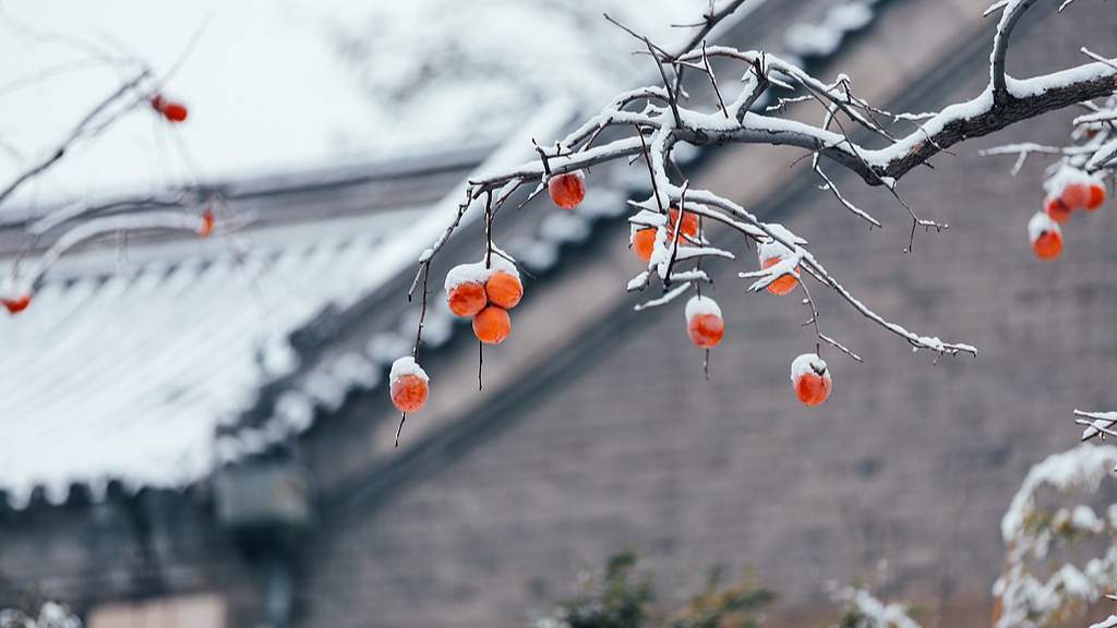 节令之美｜7日6时20分立冬：昨夜清霜冷絮�n，纷纷红叶满阶头 - 游走吧旅游科普资讯网