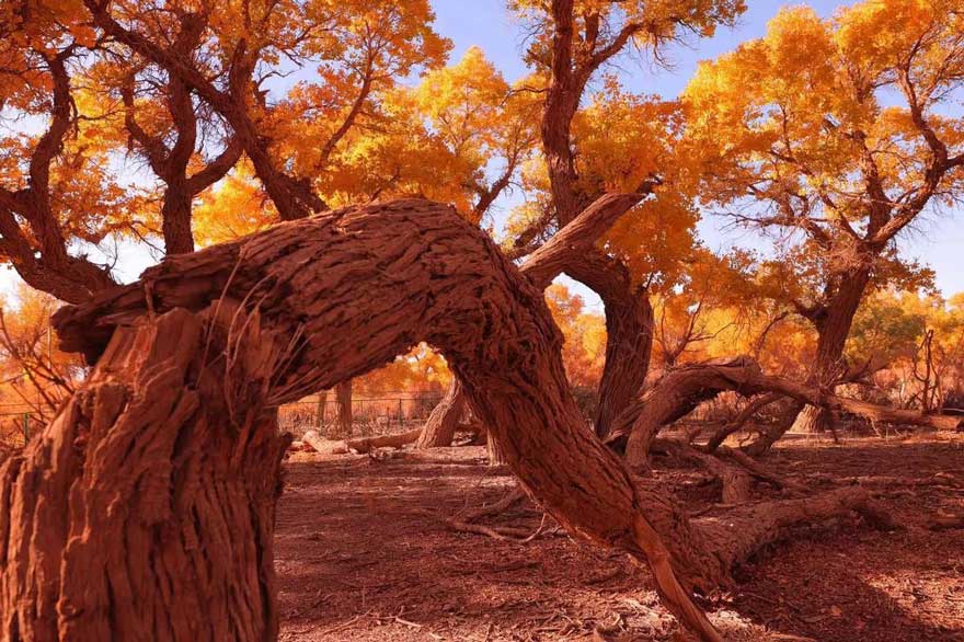 内蒙古旅游景点哪里好玩？十大必去景点攻略+最佳路线推荐..(图4)