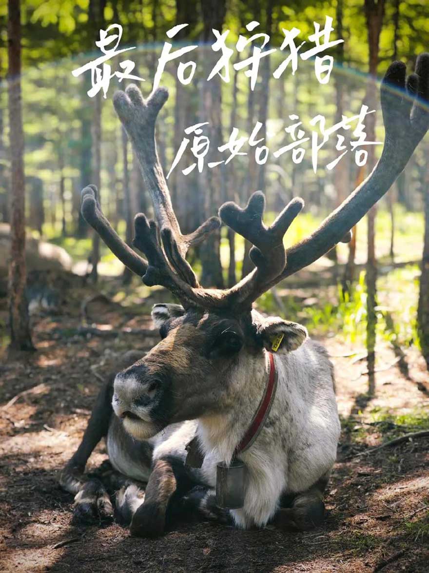 内蒙古旅游景点哪里好玩？十大必去景点攻略+最佳路线推荐.. - 游走吧旅游科普资讯网