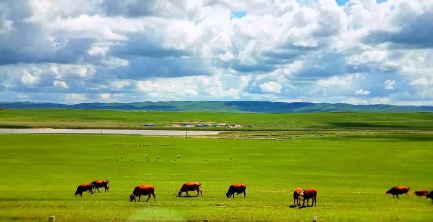 内蒙古旅游景点哪里好玩？十大必去景点攻略+最佳路线推荐..(图5)