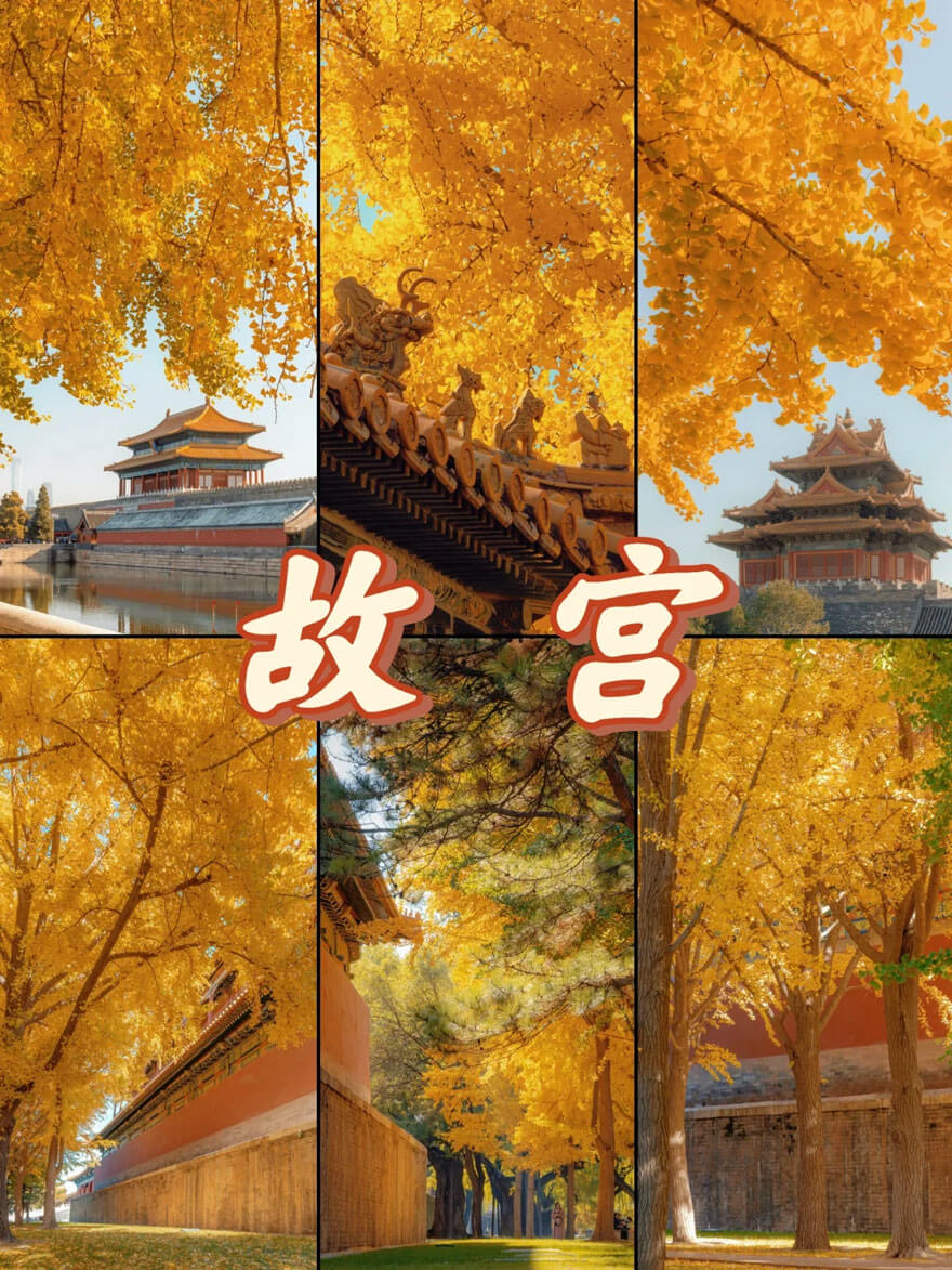 11月份北京适合旅游的地方都有哪些？都有哪些好玩的旅游景点和美.. - 游走吧旅游科普资讯网