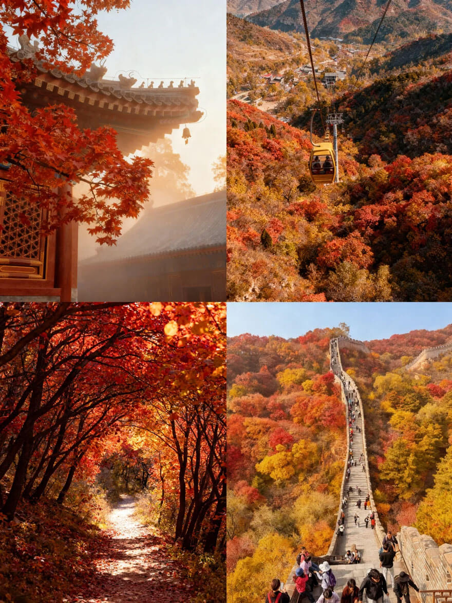 11月份北京适合旅游的地方都有哪些？都有哪些好玩的旅游景点和美..(图2)