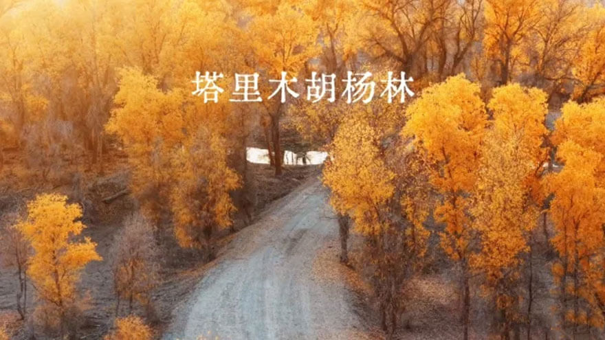 11月份新疆适合旅游的地方都有哪些？都有哪些好玩的旅游景点和美.. - 游走吧旅游科普资讯网