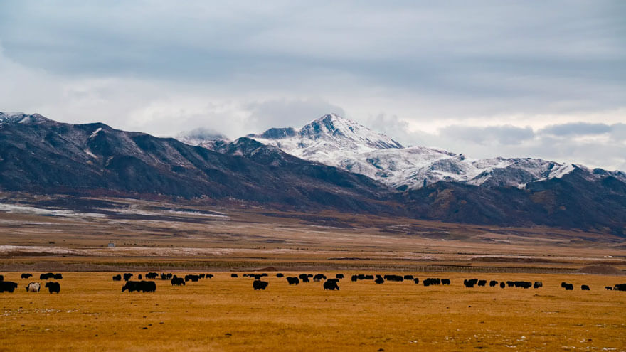 11月份青海适合旅游的地方都有哪些？都有哪些好玩的旅游景点和美..(图3)