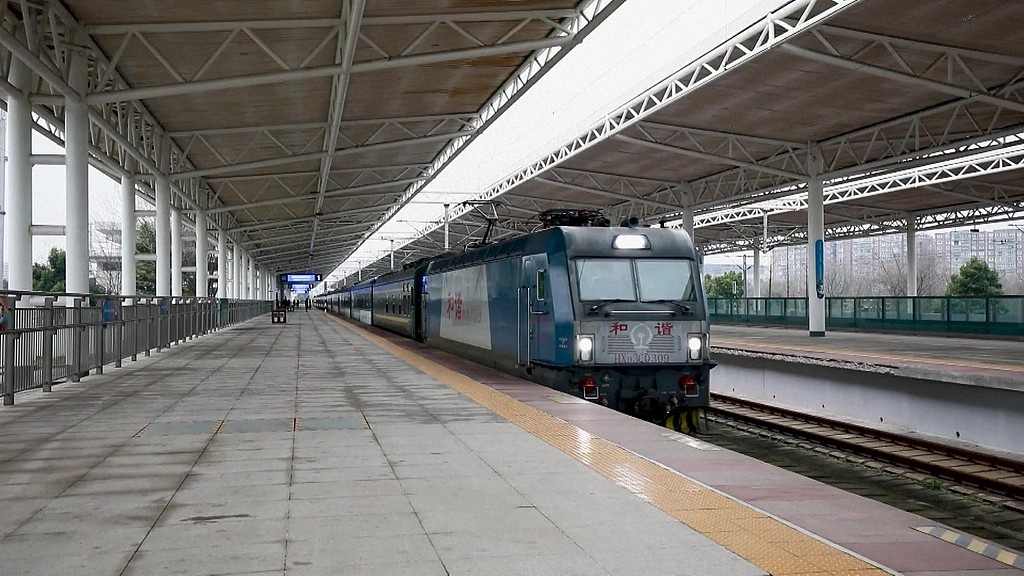 转给爸妈！快搭乘这趟开往春天的“银发列车” - 游走吧旅游科普资讯网