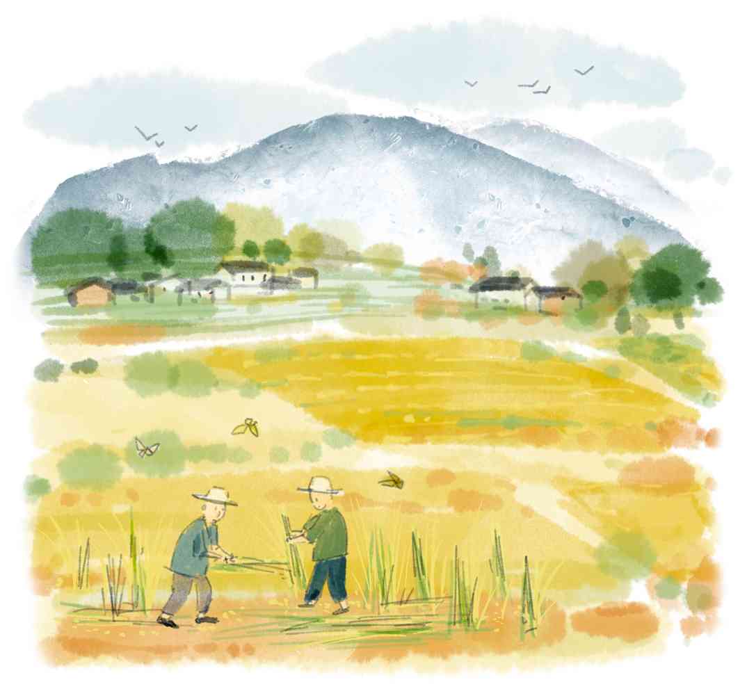 游廖家村镇 - 游走吧旅游科普资讯网