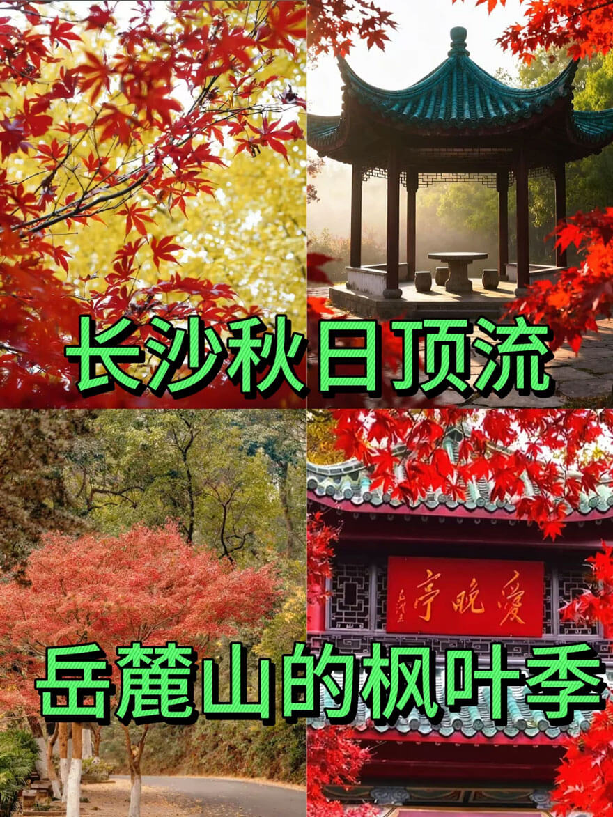 11月份湖南适合旅游的地方都有哪些？都有哪些好玩的旅游景点和美.. - 游走吧旅游科普资讯网