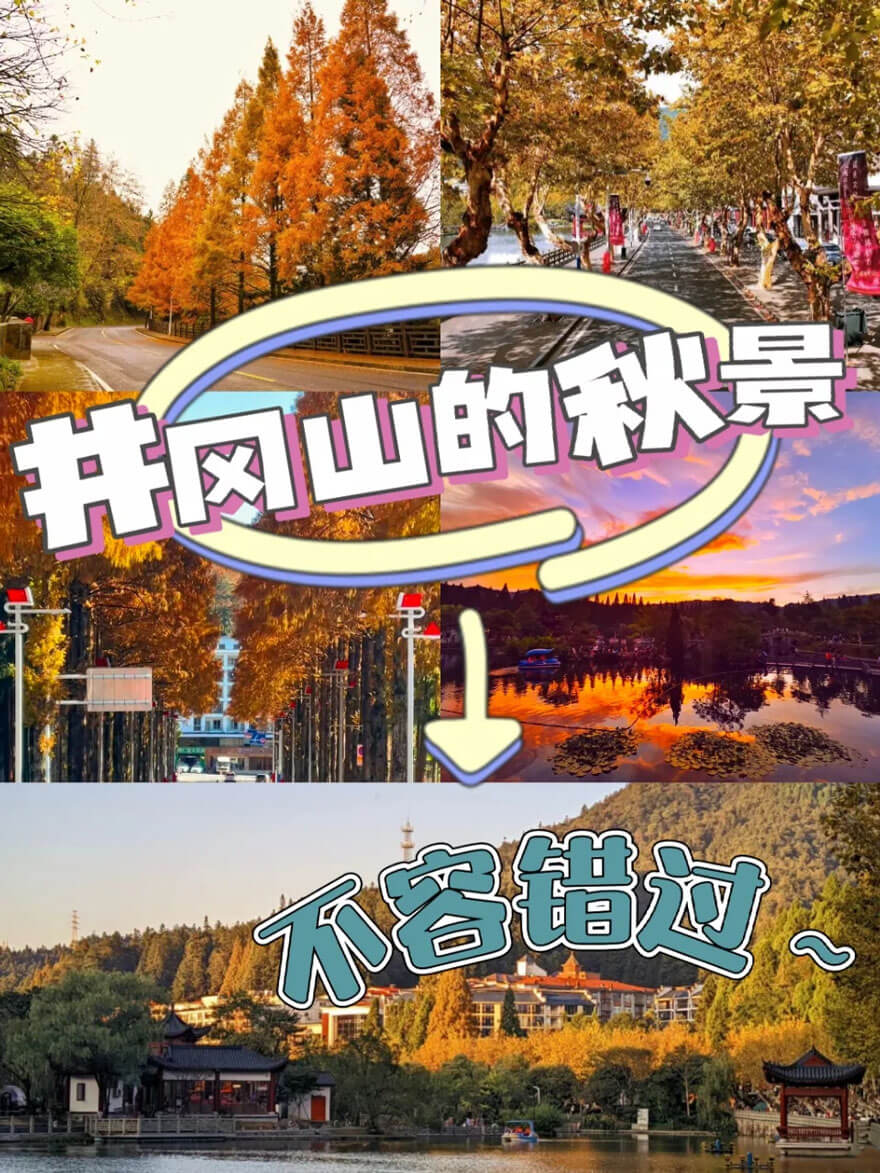 11月份江西适合旅游的地方都有哪些？都有哪些好玩的旅游景点和美..(图3)