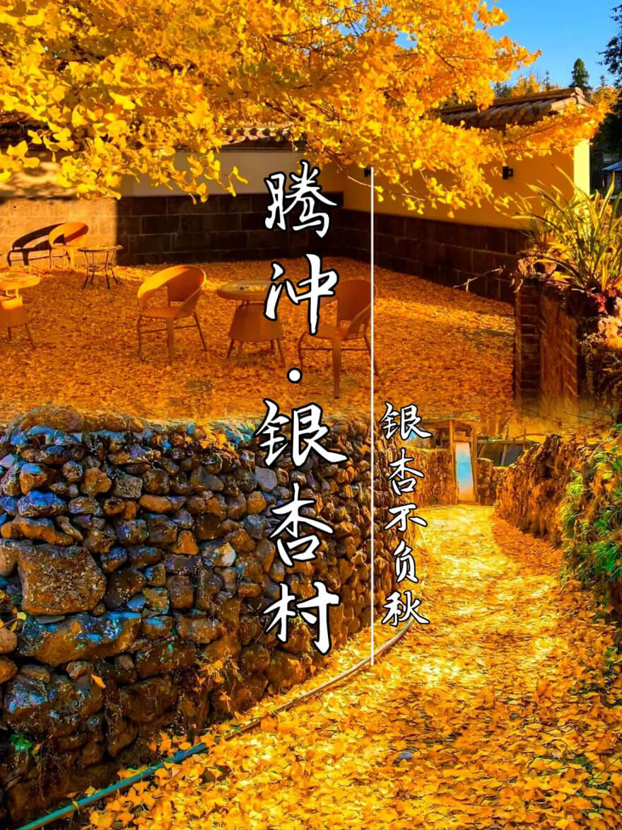 11月份云南适合旅游的地方都有哪些？都有哪些好玩的旅游景点和美..(图2)