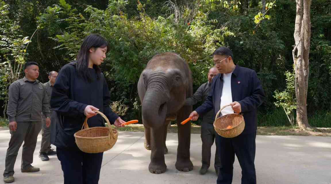 “保护性开发”让更多人 认识西双版纳之美 - 游走吧旅游科普资讯网