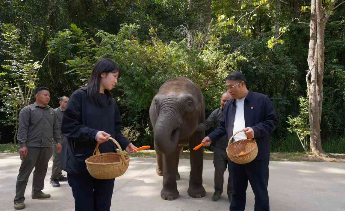 “保护性开发”让更多人 认识西双版纳之美(图1)