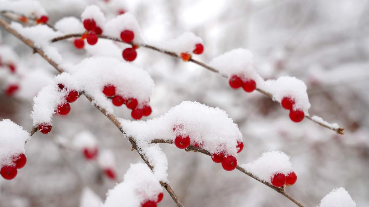 寒至极处是暖烟 - 游走吧旅游科普资讯网