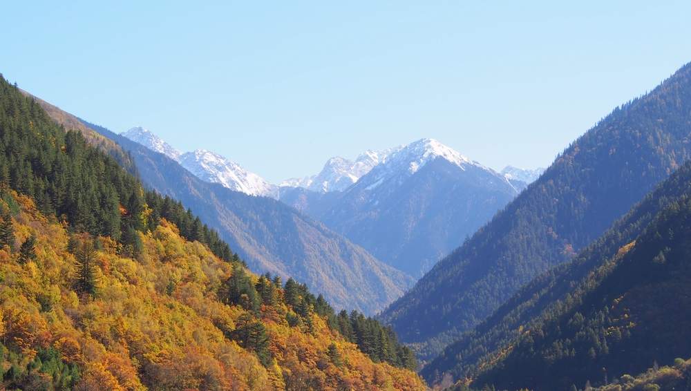 李庄！李庄！ - 游走吧旅游科普资讯网