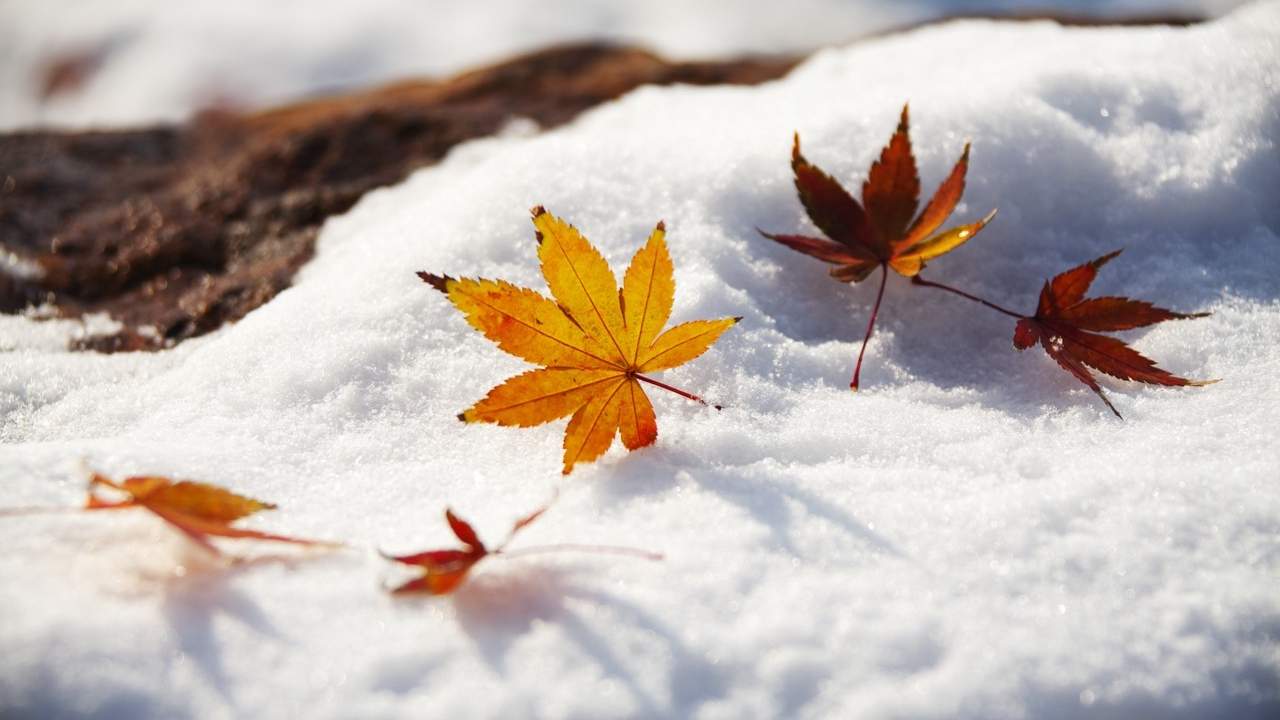 大寒 - 游走吧旅游科普资讯网