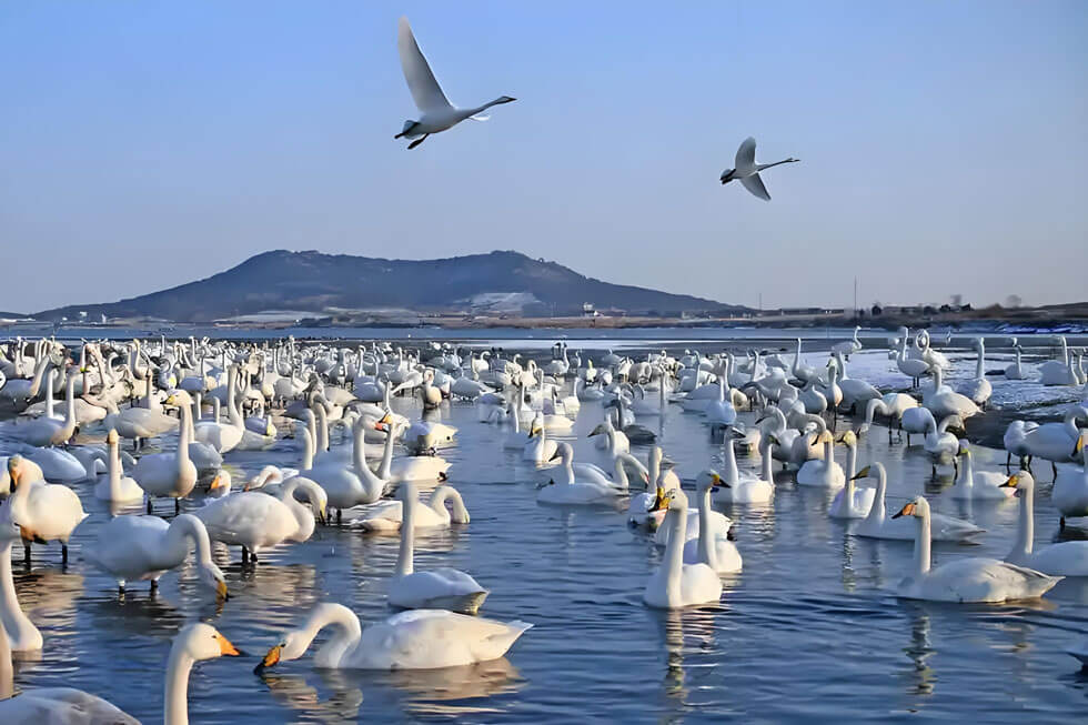 去威海旅游怎么玩?威海小众旅游地图上线:这些海边秘境90%游客..(图2) 去威海旅游怎么玩?威海小众旅游地图上线:这些海边秘境90%游客..(图2)