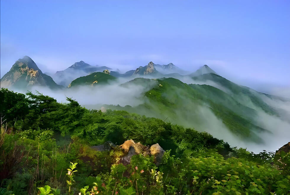 去威海旅游怎么玩?威海小众旅游地图上线:这些海边秘境90%游客..(图4) 去威海旅游怎么玩?威海小众旅游地图上线:这些海边秘境90%游客..(图4)