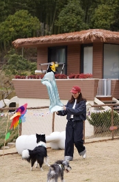 住宿之外 民宿正靠什么吸引年轻人(图3)