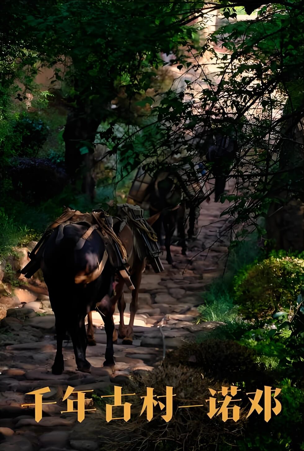 云南诺邓古村徒步记：跟着马蹄声寻找千年白族村与火腿的秘密..(图2)