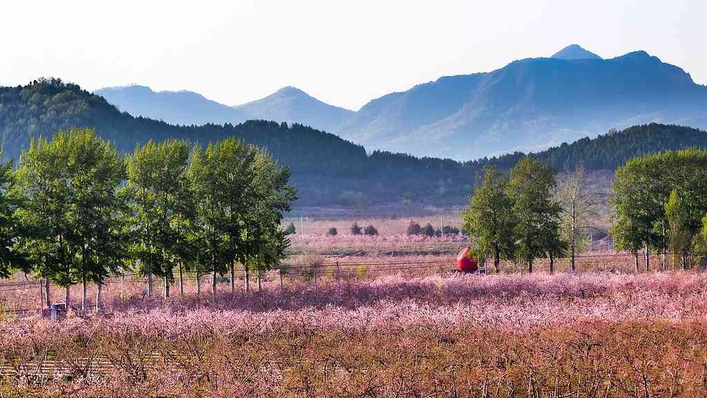 现代艺术与古老村庄的相拥――艺术乡建中的青年人 - 游走吧旅游科普资讯网