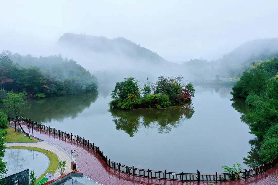 三百山发现多种珍稀野生动物(图2) 三百山发现多种珍稀野生动物(图2)