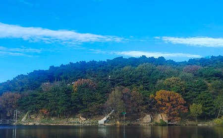 淄博城市旅行隐藏玩法大揭秘：连本地人都不知道的10个小众景点.. - 游走吧旅游科普资讯网