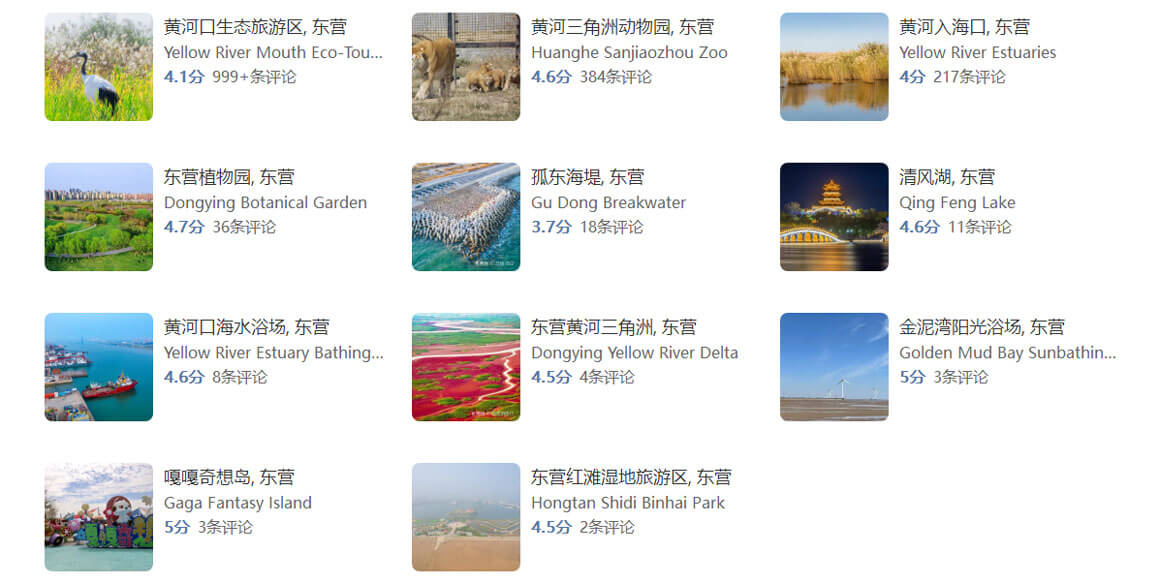 东营城市旅行隐藏玩法大揭秘：连本地人都不知道的10个小众景点..(图1)