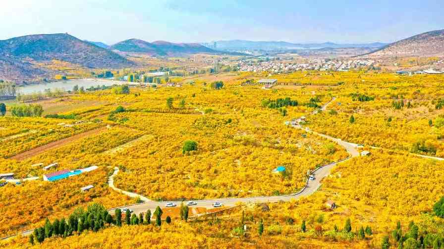 建设文旅大环线 串起淮河好风景(图1)