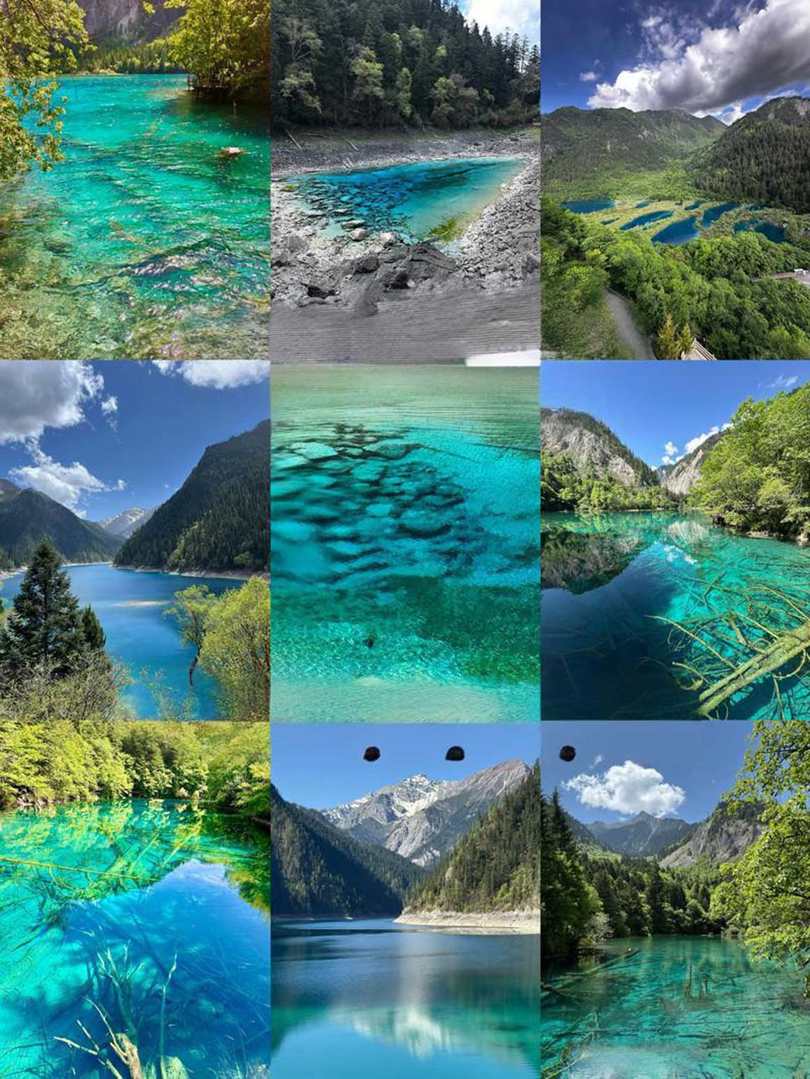 九寨沟.jpg 九寨沟限流新政!2025九寨沟旅游预约购票技巧+避开人潮路线..(图1)