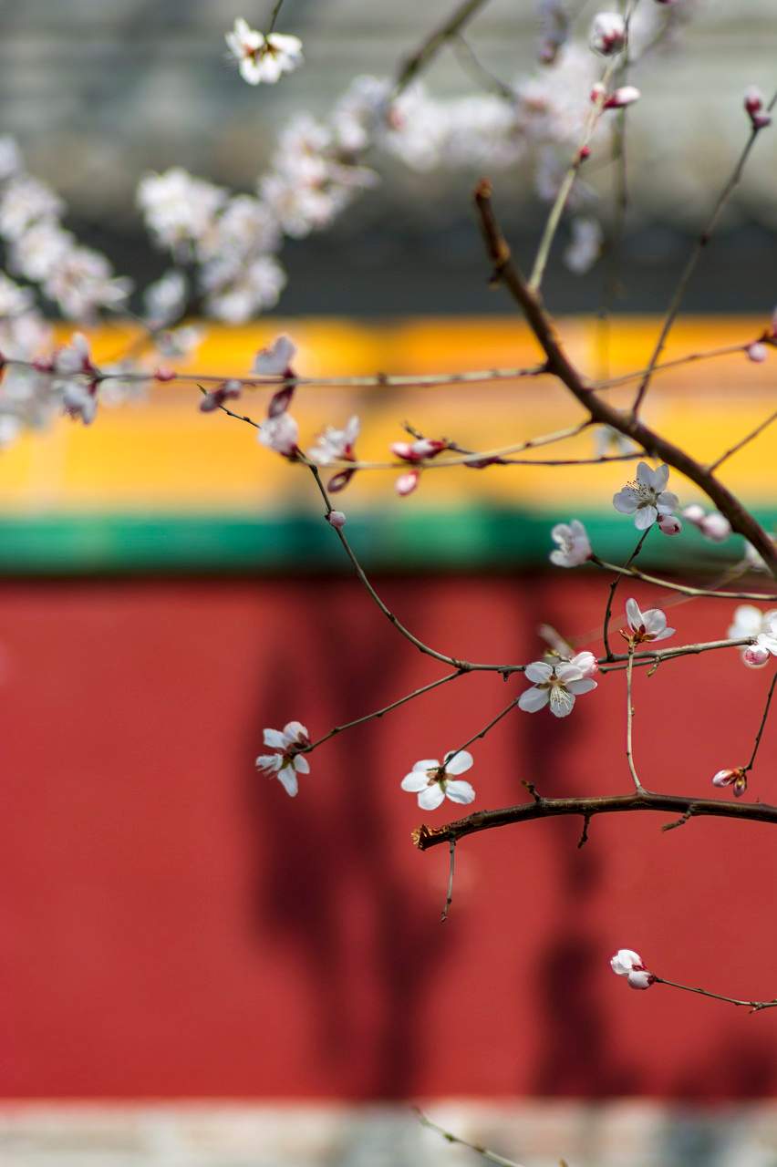 把春“立”进人间 - 游走吧旅游科普资讯网