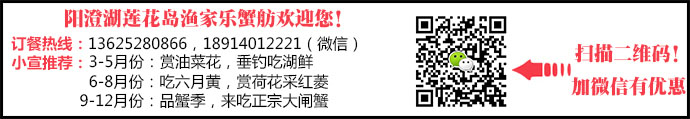 苏州阳澄湖莲花岛农家乐哪家好渔家乐好 阳澄湖 - 游走吧旅游科普资讯网