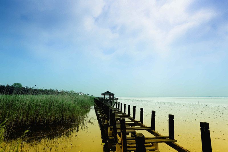 阳澄湖莲花岛旅游 苏州莲花岛攻略(图3)