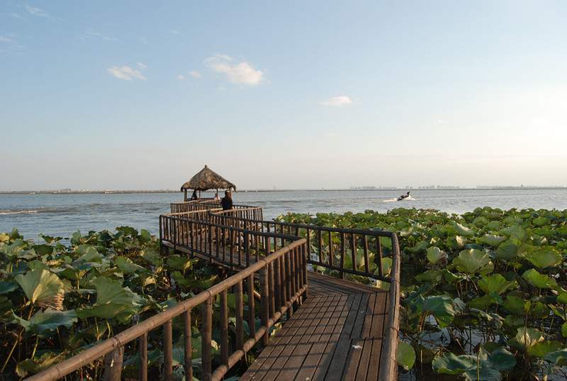 阳澄湖莲花岛游玩攻略 阳澄湖莲花岛自驾游(图2)