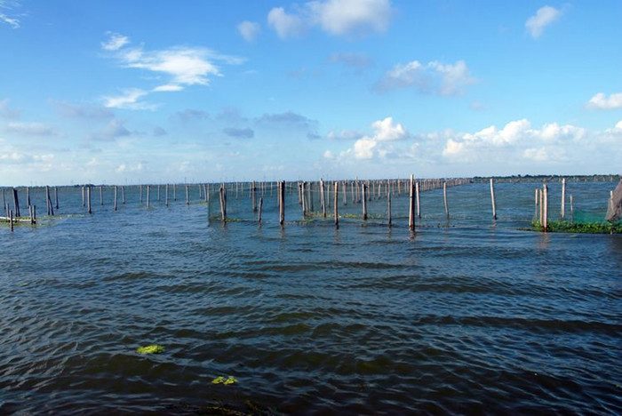 阳澄湖莲花岛旅游 阳澄湖莲花岛一日游(图3)