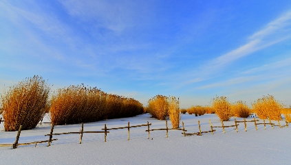 “扫码吐槽”并非一扫了之 - 游走吧旅游科普资讯网
