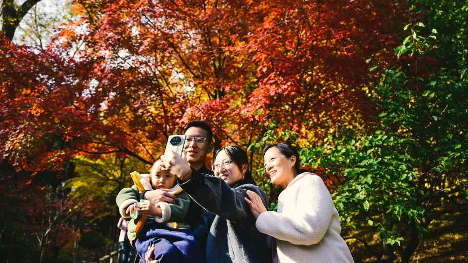红叶有约 85万游客香山“追秋” - 游走吧旅游科普资讯网