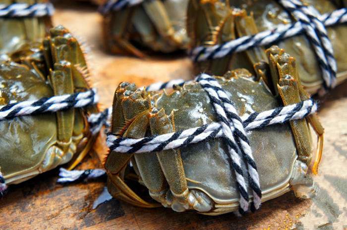 阳澄湖莲花岛旅游攻略 阳澄湖吃大闸蟹攻略(图3)