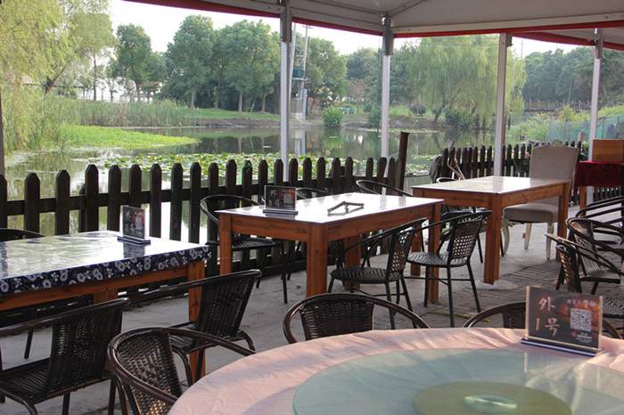 阳澄湖莲花岛湖鲜 苏州阳澄湖旅游纪实(图3)