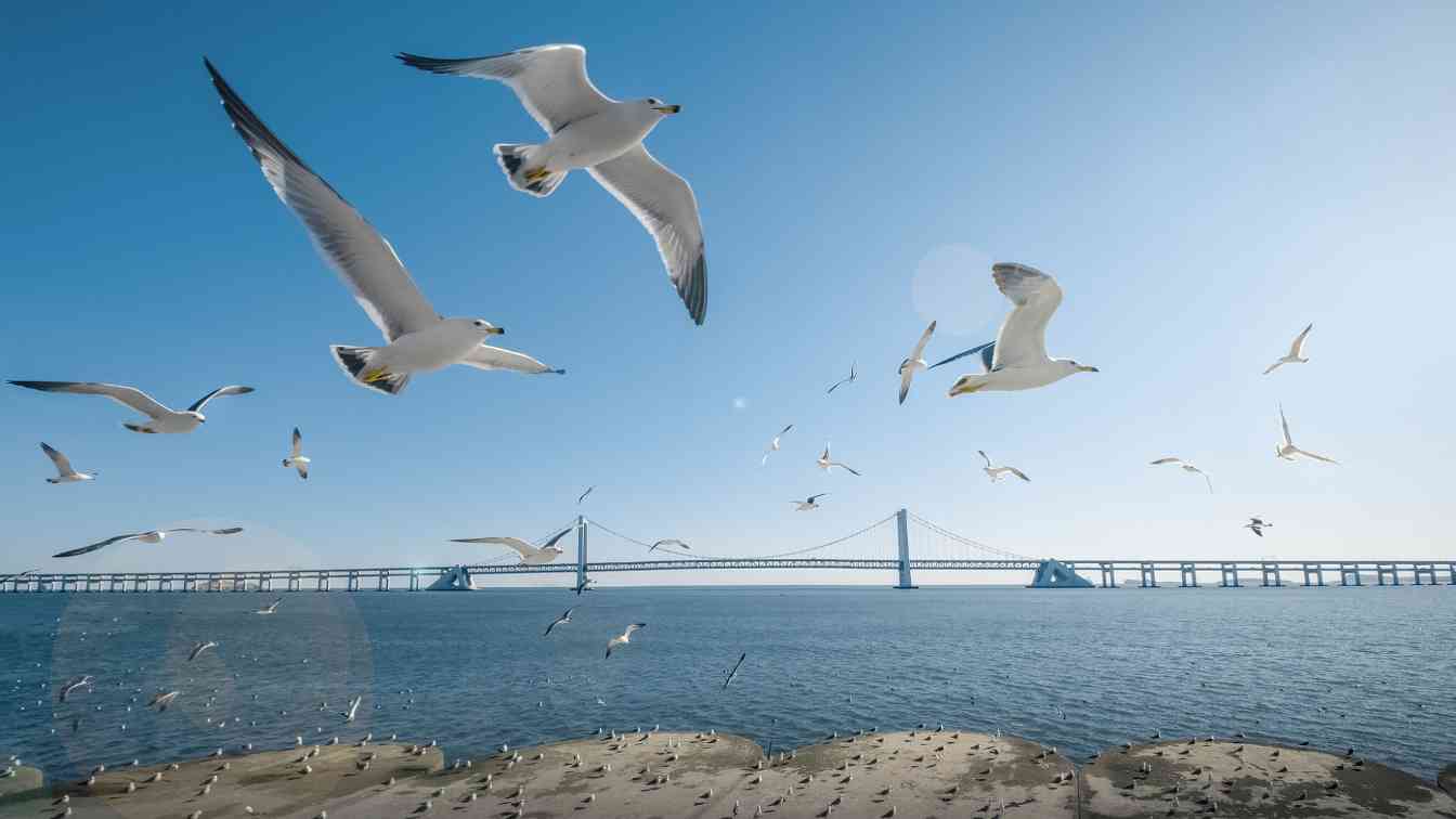 7月起离境退税政策实施新增大连市、湖北省 - 游走吧旅游科普资讯网