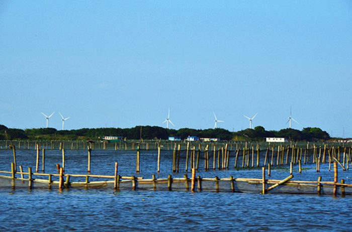 苏州阳澄湖旅游攻略 阳澄湖大闸蟹攻略(图2)