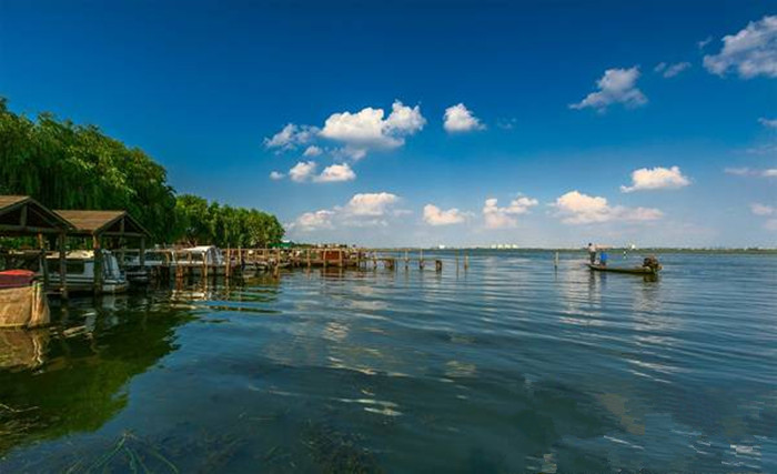 阳澄湖油菜花旅游 阳澄湖莲花岛农家乐(图3)