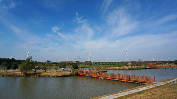 阳澄湖莲花岛旅游攻略 阳澄湖莲花岛农家乐(图4)