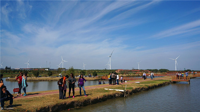 阳澄湖莲花岛农家乐湖鲜 苏州油菜花旅游攻略(图5)