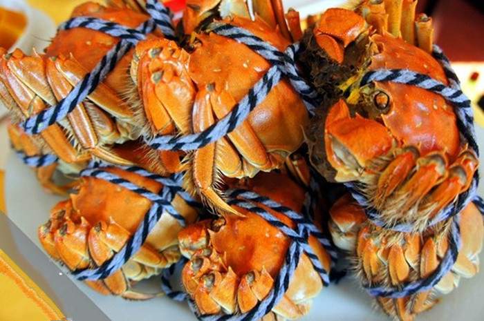 阳澄湖莲花岛一日游攻略 阳澄湖莲花岛农家乐(图2)