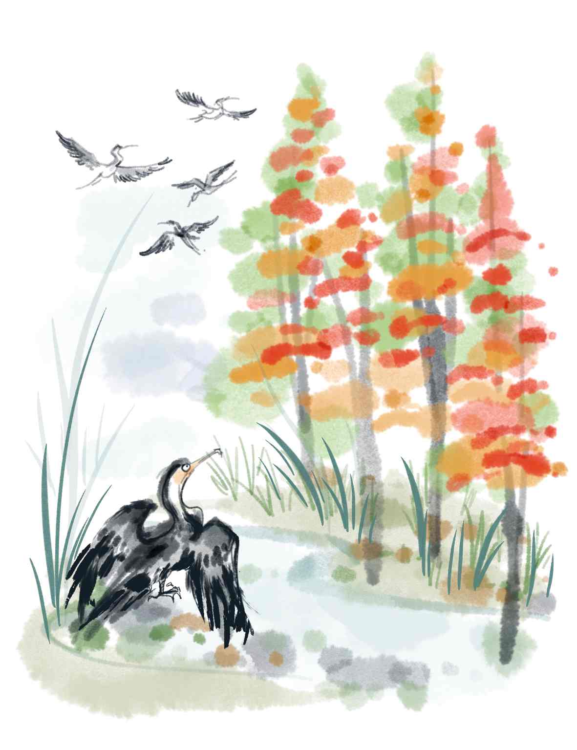 鹭岛寻冬 - 游走吧旅游科普资讯网