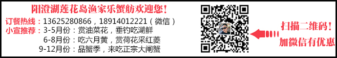 阳澄湖莲花岛自驾游 莲花岛旅游攻略 - 游走吧旅游科普资讯网
